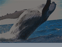 Tablet Screenshot of guaranteedwhales.com
